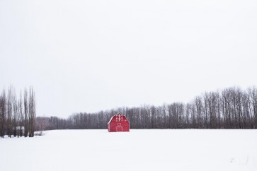 Codey Wicks - Winter - Lone Red Barn I
