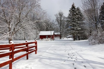 Codey Wicks - Winter - Footsteps to Red Farm