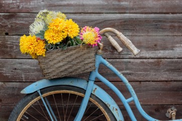 Bicycle - Flower Morning