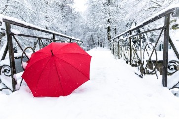 Dylis Bevan - Winter - Red Umbrella Lost In The Snow