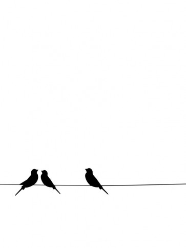 George Smadgeton - Birds On Wire