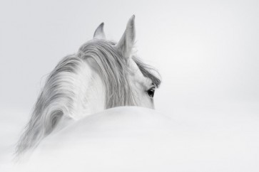 Horse - Losing Your Mind