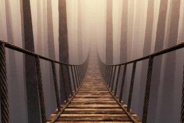 Frank Morse - Rope Bridge - Misty Day