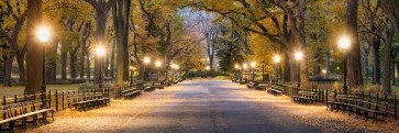 New York - Central Park - Night Out