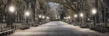 New York - Central Park - Night Out