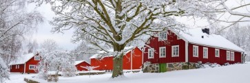 Codey Wicks - Winter - Red House Village