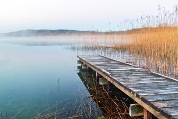 Roderick Nichols - Wooden Landing Jetty - Foggy Afternoon