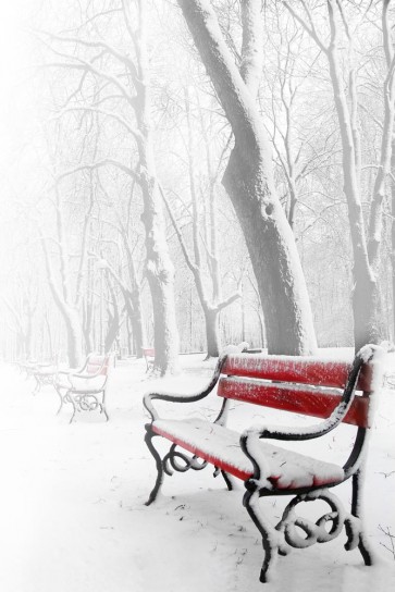 Dylis Bevan - Winter - Red Bench - Wet Butt