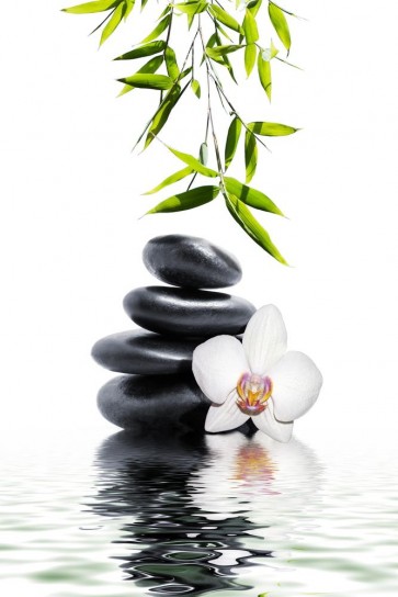 Omar Olavie - White Orchid with Black Stones