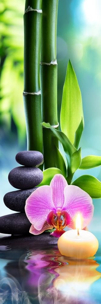 Omar Olavie - Pink Orchid with Black Gallets