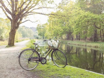 Assaf Frank - Bicycle Break