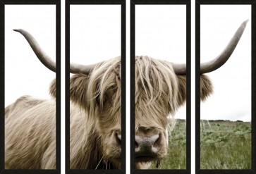 Highland Cow - Meadow