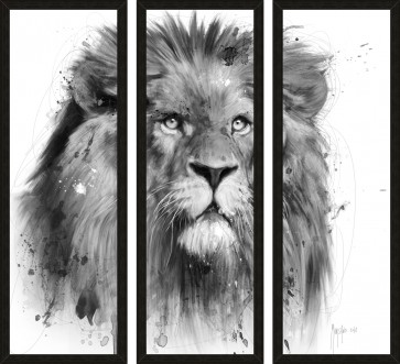 Patrice Murciano - Animals - Lion
