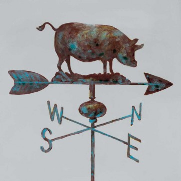 Arnie Fisk - Rural Relic Pig