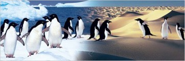 Surreal Penguin Landscape