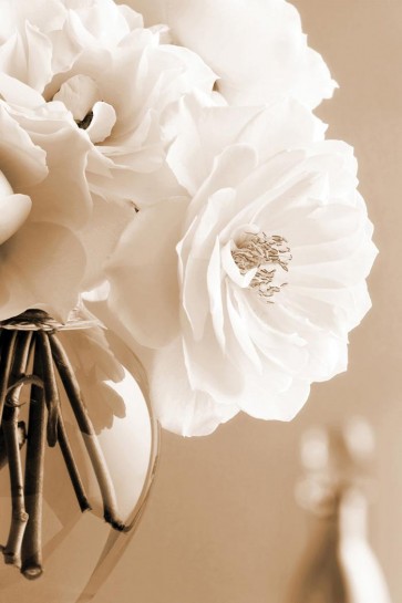 Christine Zalewski - Roses in Sepia