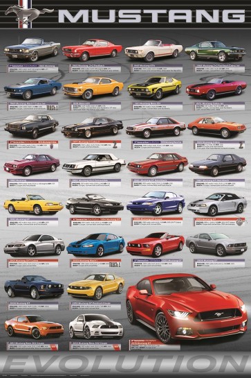 Ford - Mustang - Evolution