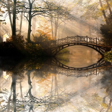 Joey Joe - Autumn - Old Bridge  