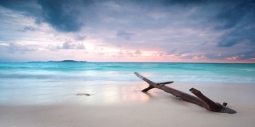 Jenny Troll - Tree trunk on Beach  