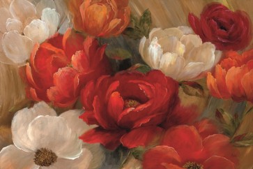 Nan - Jardin De Corail