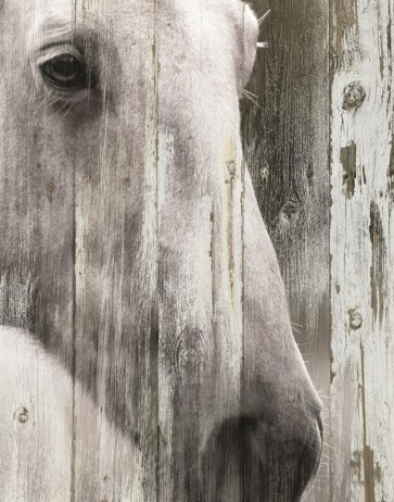 Carol Robinson - Contemplation