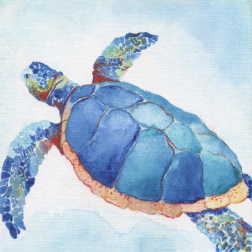 Tava Studios - Galapagos Sea Turtle I
