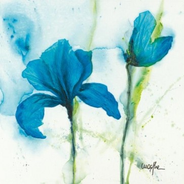 Marthe - Lys I  