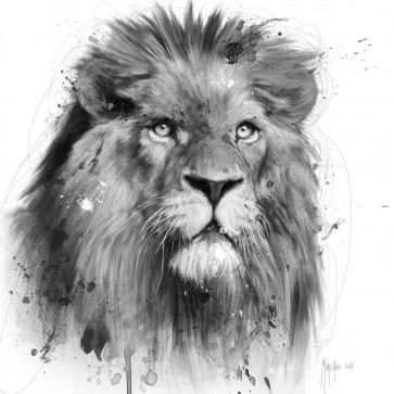 Patrice Murciano - Animals - Lion