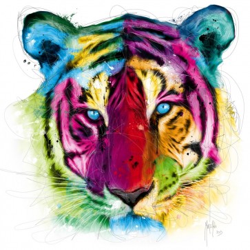 Patrice Murciano - Animals - Tiger