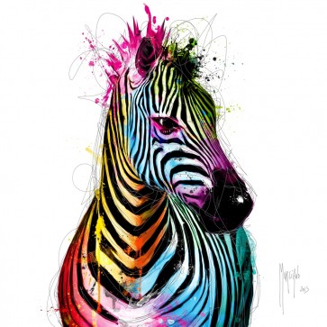 Patrice Murciano - Animals - Zebra - Pop