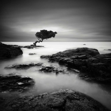 Rob Cherry - Tree of Temptation