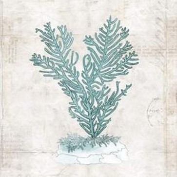 Sabine Berg - Under the Sea II