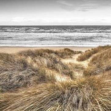 Assaf Frank - Beach Dunes