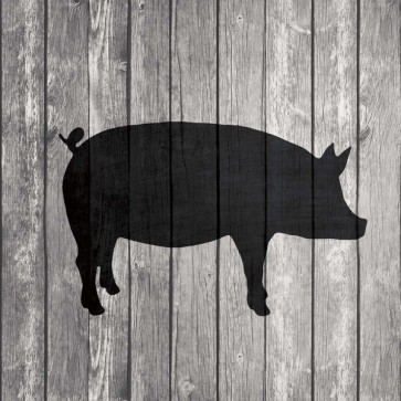 Tandi Venter - Barn Pig 