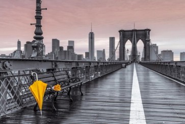 Umbrella Bridge  