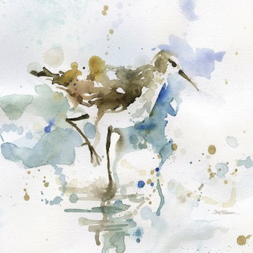Carol Robinson - Malibu Sand Piper 