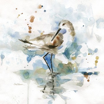 Carol Robinson - Palm Beach Piper 
