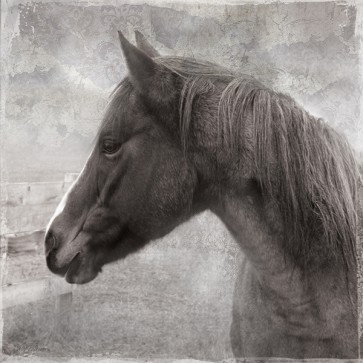 Carol Robinston - Vintage View II 