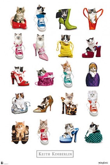 Keith Kimberlin - Cats in Shoes 