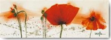 Coquelicots Au Vent IV  