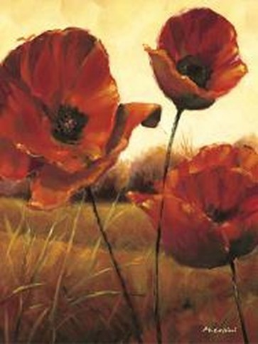 Poppies I