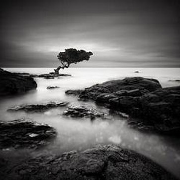 Rob Cherry - Tree of Temptation