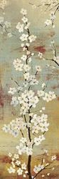 Blossom Canopy II  