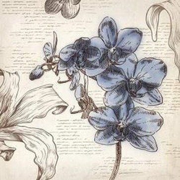 Aimee Wilson - Blushing Blue II