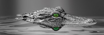 Alligator Eyes 