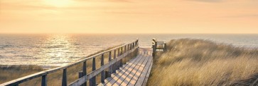 Way to the Sea  