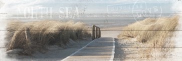 Path to the North Sea  