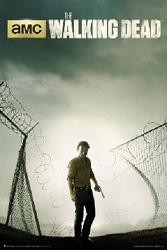 The Walking Dead  