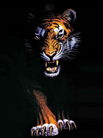 Tiger  