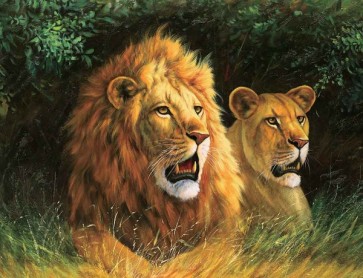 Lions  